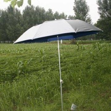 Straight fishing application umbrella